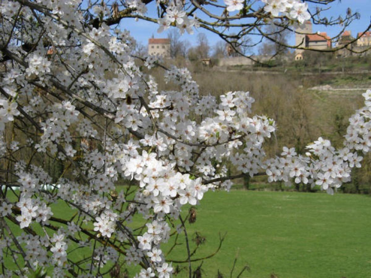 Herrnmuehle - Pension & Ferienwohnungen Rothenburg ob der Tauber Eksteriør bilde